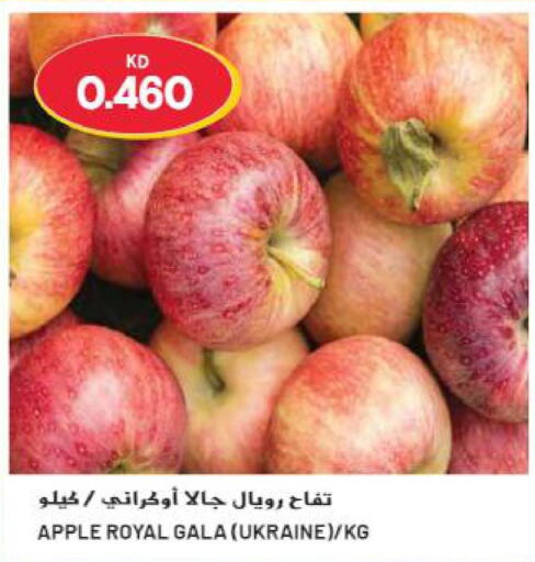  Apples  in جراند هايبر in الكويت - محافظة الجهراء