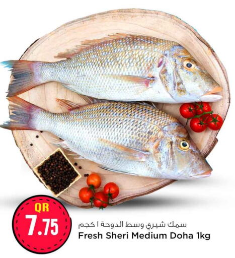  King Fish  in سفاري هايبر ماركت in قطر - الوكرة