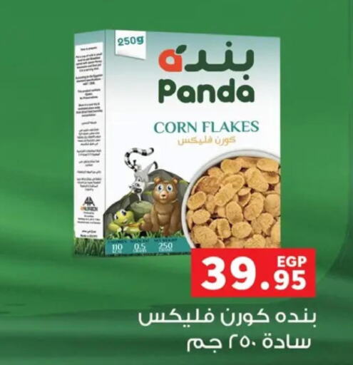  Corn Flakes  in Panda  in Egypt - Cairo
