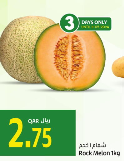 Sweet melon  in Gulf Food Center in Qatar - Al Khor