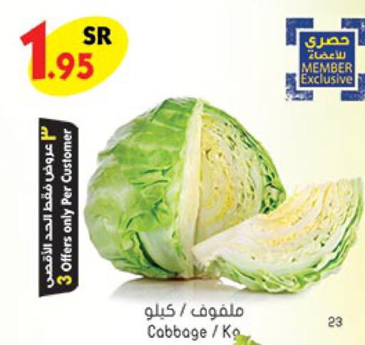  Cabbage  in Bin Dawood in KSA, Saudi Arabia, Saudi - Khamis Mushait