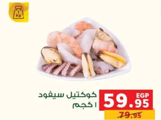  Tuna  in بنده in Egypt - القاهرة