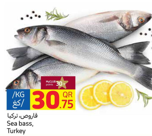  Tuna  in Carrefour in Qatar - Al Wakra