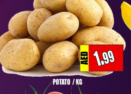  Potato  in Majestic Plus Hypermarket in UAE - Abu Dhabi