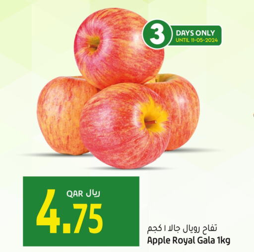  Apples  in Gulf Food Center in Qatar - Al Khor