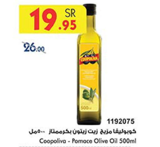 COOPOLIVA Olive Oil  in بن داود in مملكة العربية السعودية, السعودية, سعودية - الطائف