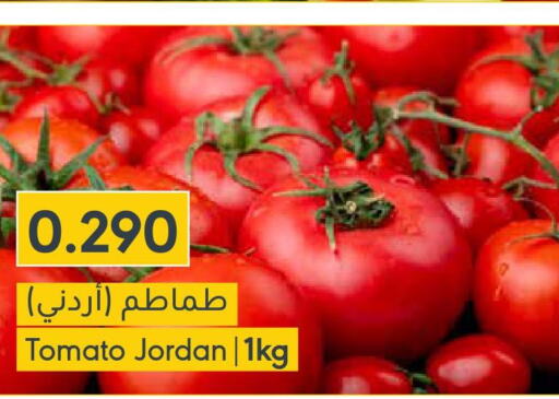  Tomato  in المنتزه in البحرين