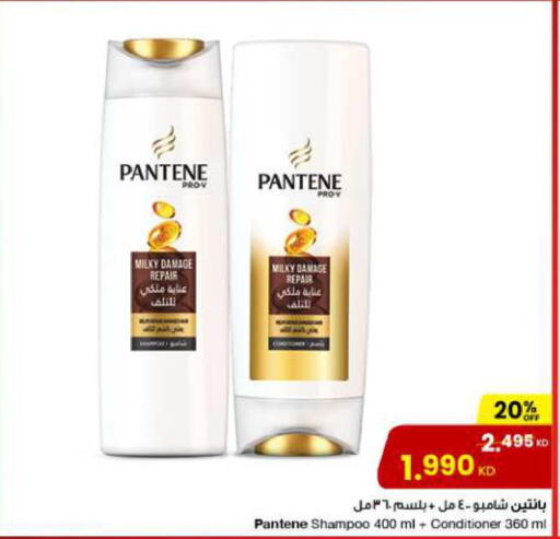 PANTENE Shampoo / Conditioner  in مركز سلطان in الكويت - محافظة الجهراء