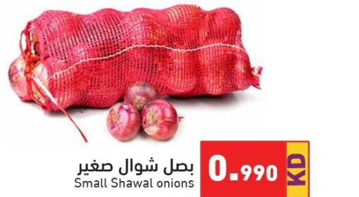  Onion  in  رامز in الكويت - محافظة الأحمدي
