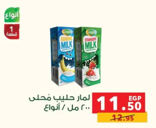  Flavoured Milk  in بنده in Egypt - القاهرة