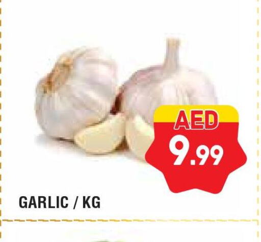  Garlic  in Home Fresh Supermarket in UAE - Abu Dhabi