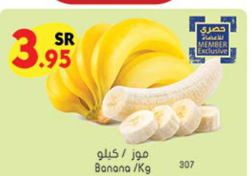  Banana  in Bin Dawood in KSA, Saudi Arabia, Saudi - Ta'if