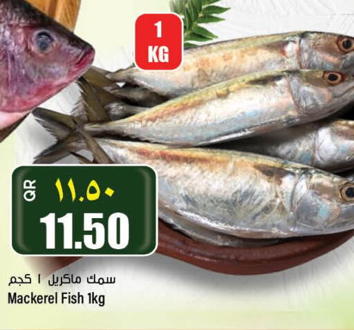  King Fish  in سوبر ماركت الهندي الجديد in قطر - الريان