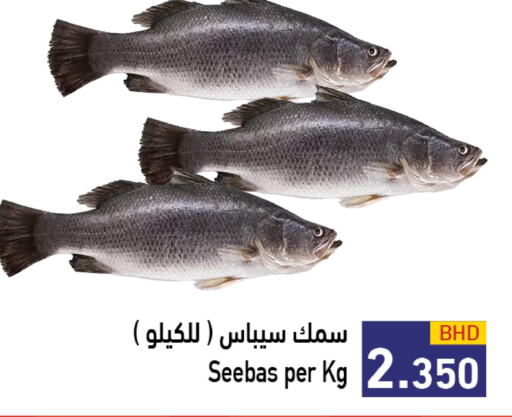  King Fish  in Ramez in Bahrain