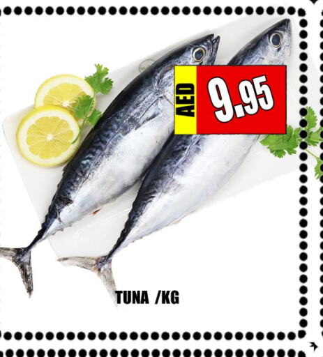  Tuna  in Majestic Plus Hypermarket in UAE - Abu Dhabi