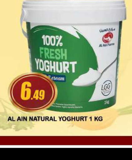 AL AIN Yoghurt  in أزهر المدينة هايبرماركت in الإمارات العربية المتحدة , الامارات - الشارقة / عجمان