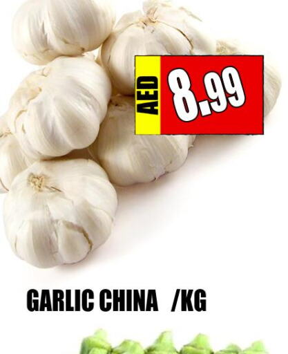  Garlic  in Majestic Plus Hypermarket in UAE - Abu Dhabi