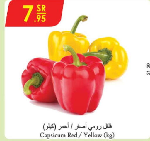  Chilli / Capsicum  in الدانوب in مملكة العربية السعودية, السعودية, سعودية - الخبر‎
