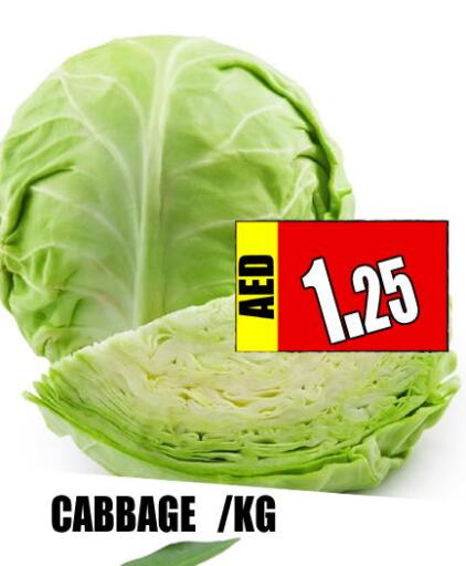  Cabbage  in Majestic Plus Hypermarket in UAE - Abu Dhabi
