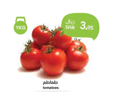  Tomato  in واحة المستهلك in مملكة العربية السعودية, السعودية, سعودية - الخبر‎