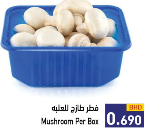  Mushroom  in رامــز in البحرين