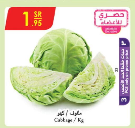 Cabbage  in الدانوب in مملكة العربية السعودية, السعودية, سعودية - جازان