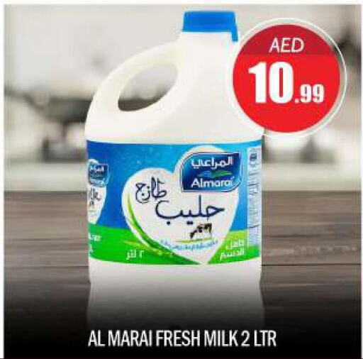 ALMARAI Fresh Milk  in BIGmart in UAE - Abu Dhabi