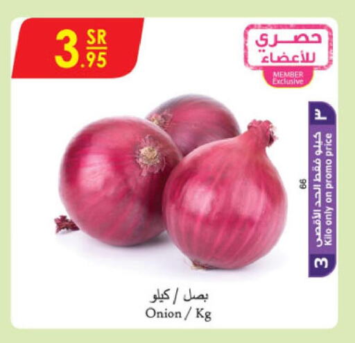  Onion  in Danube in KSA, Saudi Arabia, Saudi - Abha