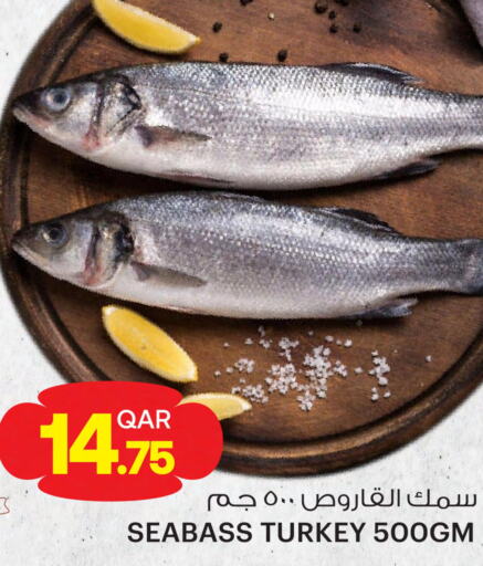  King Fish  in أنصار جاليري in قطر - الوكرة