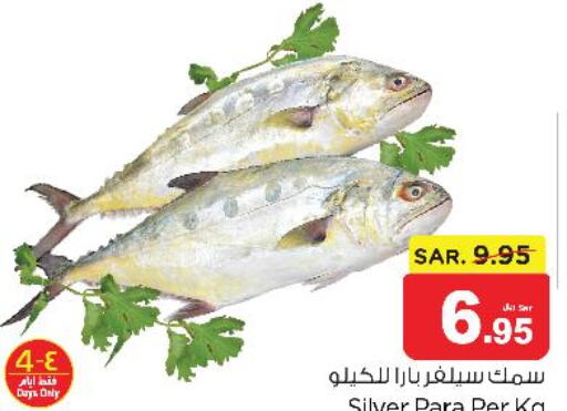  King Fish  in نستو in مملكة العربية السعودية, السعودية, سعودية - بريدة