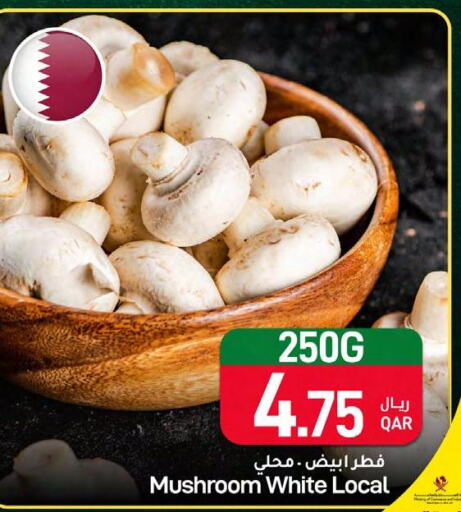  Mushroom  in ســبــار in قطر - الدوحة