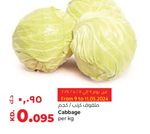  Cabbage  in لولو هايبر ماركت in الكويت - محافظة الجهراء