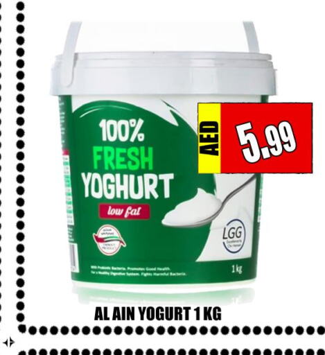 AL AIN Yoghurt  in Majestic Plus Hypermarket in UAE - Abu Dhabi