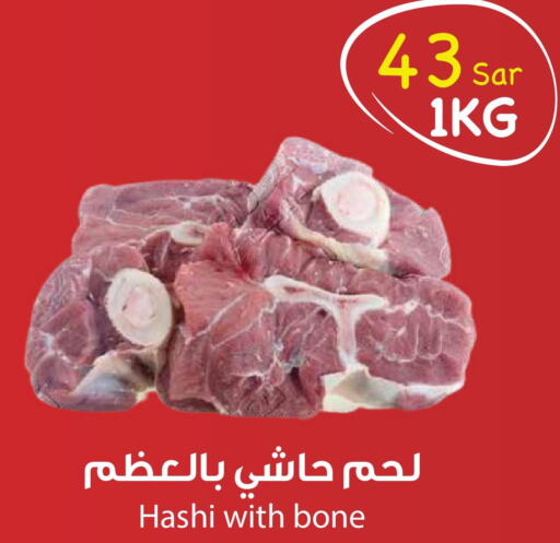  Camel meat  in Consumer Oasis in KSA, Saudi Arabia, Saudi - Riyadh