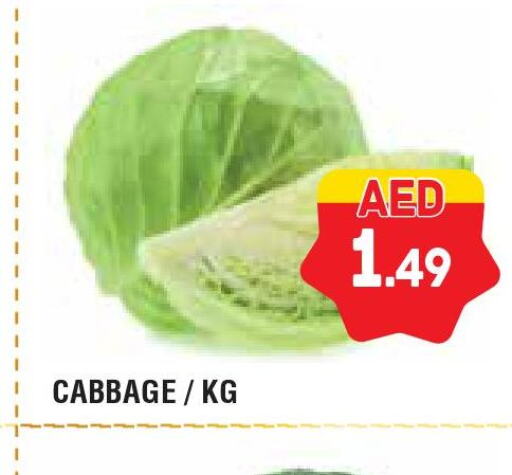  Cabbage  in Home Fresh Supermarket in UAE - Abu Dhabi