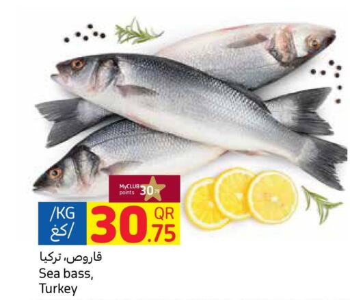  Tuna  in Carrefour in Qatar - Al Khor