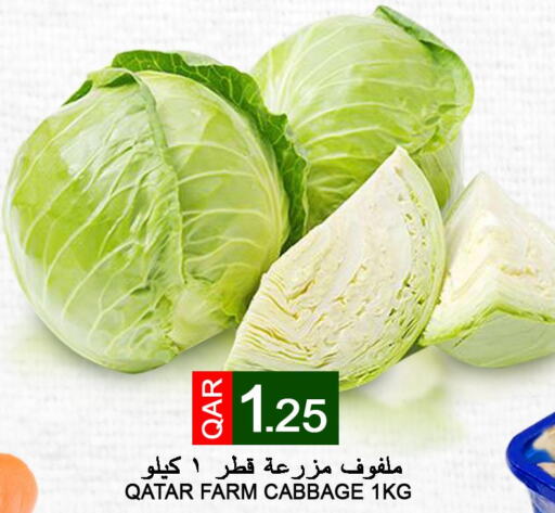  Cabbage  in قصر الأغذية هايبرماركت in قطر - الخور