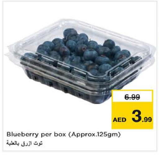  Berries  in لاست تشانس in الإمارات العربية المتحدة , الامارات - ٱلْفُجَيْرَة‎