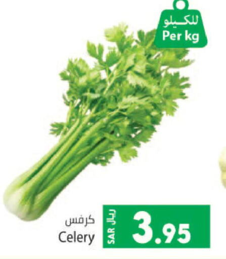 Celery  in كبايان هايبرماركت in مملكة العربية السعودية, السعودية, سعودية - جدة