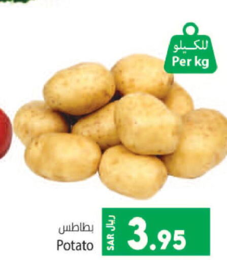  Potato  in كبايان هايبرماركت in مملكة العربية السعودية, السعودية, سعودية - جدة