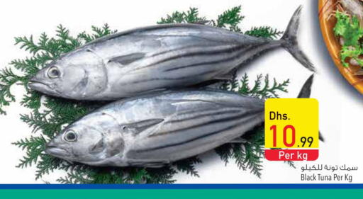  Tuna  in Safeer Hyper Markets in UAE - Abu Dhabi