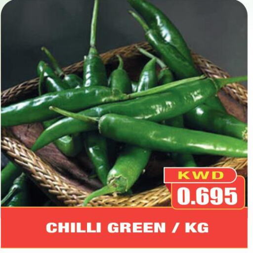  Chilli / Capsicum  in Olive Hyper Market in Kuwait