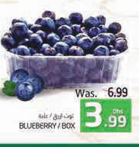  Berries  in PASONS GROUP in UAE - Al Ain