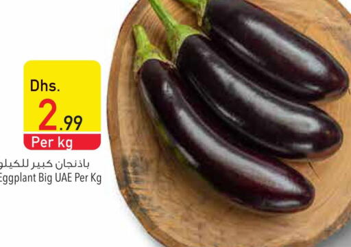  Tomato  in السفير هايبر ماركت in الإمارات العربية المتحدة , الامارات - ٱلْفُجَيْرَة‎