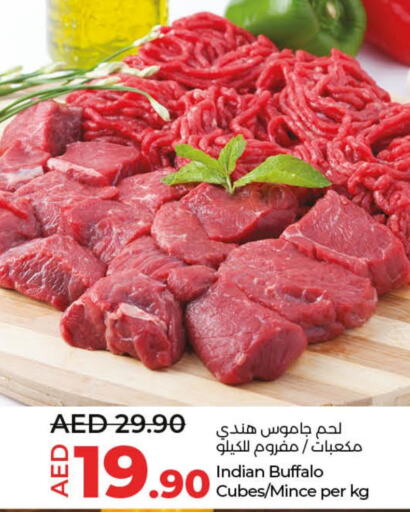  Buffalo  in Lulu Hypermarket in UAE - Abu Dhabi