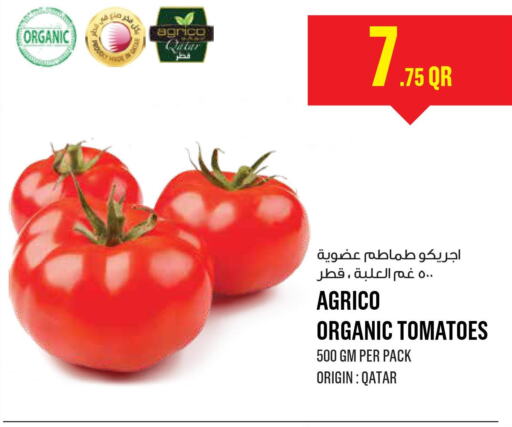  Tomato  in مونوبريكس in قطر - الشحانية