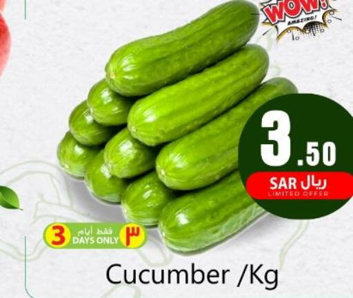  Cucumber  in We One Shopping Center in KSA, Saudi Arabia, Saudi - Dammam