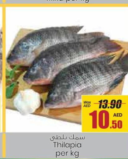  Tuna  in Armed Forces Cooperative Society (AFCOOP) in UAE - Abu Dhabi