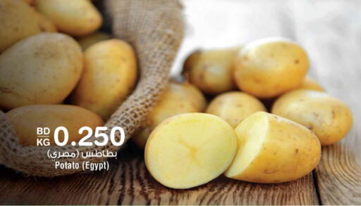  Potato  in أسواق الحلي in البحرين