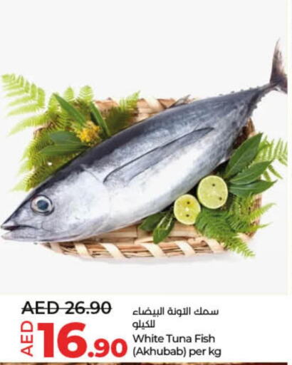  Tuna  in لولو هايبرماركت in الإمارات العربية المتحدة , الامارات - ٱلْفُجَيْرَة‎